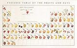 Periodic Table Of Fruits and Nuts by Naomi Weissman Art Print Poster 29.5 x 18.5