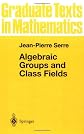 Algebraic Groups and Class Fields