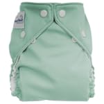 FuzziBunz Perfect Size Cloth Diaper, Sage, Size Small 7-18 lbs