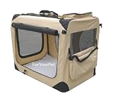 New Beige 36