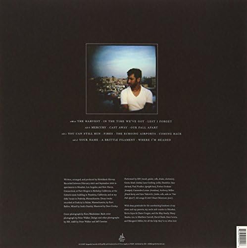 THIS TOO WILL PASS [Vinyl]