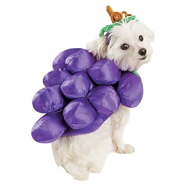Product Image Grapes Pet Costume