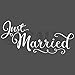 Just Married 10x22 Vinyl Lettering Wall Decal Sticker Art Home Decor