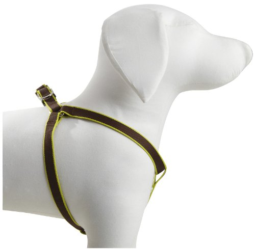 harry barker dog pajamas