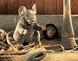Folkmanis Brown Mouse Hand Puppet