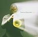 Terence Blanchard-Flow