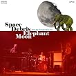 Elephant Moon