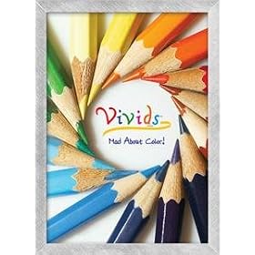 VIVIDS bold Silver Ice metallic frame by Nielsen - 5x7