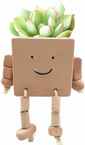 Ceramic Funny Puppet Pot - Novel Earthen Flower Pot for Herbs and Succulent, 3 inch Small Decorative Display Pot, Square
