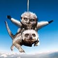 Meerkat Mayhem Skydiving Card