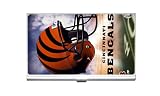 cincinnati-bengals-v2 Business Card Holder