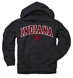 Indiana Hoosiers Youth Black Perennial II Hooded Sweatshirt