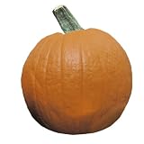 Mr. Light Funkin Artificial Pumpkin, Prince, 10in by 8in by 8in/with Carving Tool