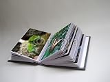 Wallmonkeys Peel and Stick Wall Decals - Photo-album with Two Images - Removable Graphic
