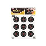 Birchwood Casey Dirty Bird Round Splattering Target (3-Inch)
