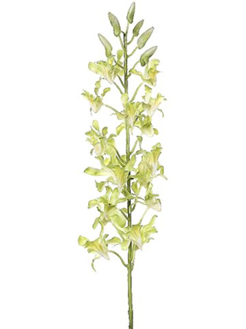 Pack of 6 Artificial Green Dendrobium Orchid Silk Flower Sprays 30″