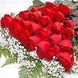 150 Long Stemmed Premium Red Roses