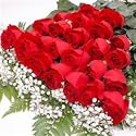 Two Dozen Long Stemmed Premium Red Roses