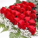 150 Long Stemmed Premium Red Roses