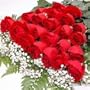 150 Long Stemmed Premium Red Roses