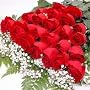 Two Dozen Long Stemmed Premium Red Roses