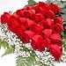 Two Dozen Long Stemmed Premium Red Roses