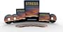 Stress Management -A Program that Really Works" is a no nonsense, easy to understand stress reduction system. When you order, you get more than 10 hours of professional instruction on 2 DVD's, six audio CD's, and a comprehensive workbook, all focused on how to reduce your stress.
