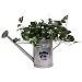 Kansas State Wildcats NCAA Watering Can