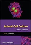 Animal cell culture : essential methods
