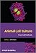 Animal Cell Culture: Essential Methods