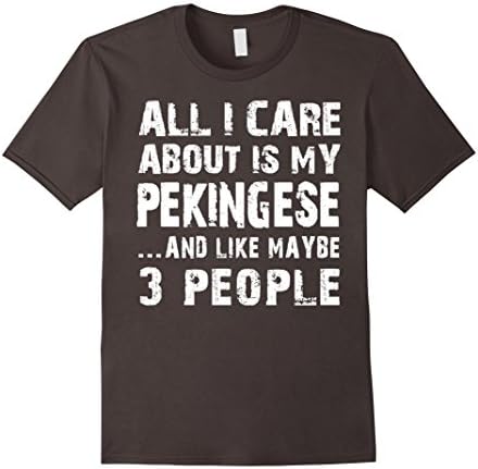 Men's Pekingese T-shirt 2XL Asphalt
