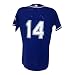 Dodgers #14 Game Used Batting Practice Jersey (Name Removed) (circa 2005) Size 44