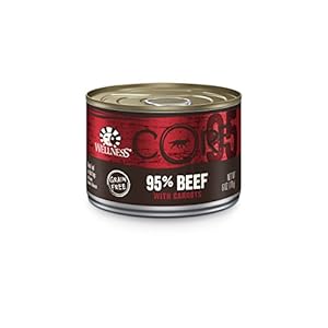 Wellness CORE Natural Grain Free Wet Canned Dog Food, 95% Beef with Carrots Recipe, 6-Ounce Can (Pack of 24)