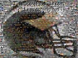 Michigan Wolverines Football Helmet Montage