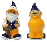 Minnesota Vikings NFL Garden Gnome 10" Bank