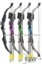 !!!BESTSELLER!!! EVANS Compound Bogen FADE