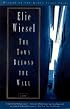 The Town Beyond the Wall: A Novel