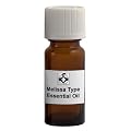Melissa Type Essential Oil - 10ml