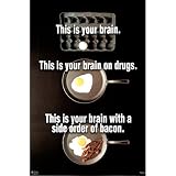 Brain on Drugs Eggs College Humor Poster - 24x36