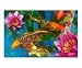 Koi Play Photographic Poster Print by Gina Signore, 20x16 Image