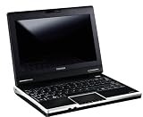 Toshiba NB100-11R 8,9 Zoll WSVGA Netbook (Intel Atom N270 1,6GHz, 512MB RAM, 80GB HDD, Intel 945GSE, Linux)