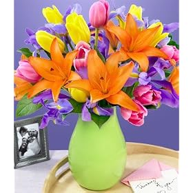 Spring Awakenings