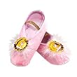 Aurora Ballet Slippers