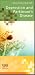 Depression and Parkinson's Disease