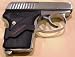 Covert Carrier Seecamp Holster Alt