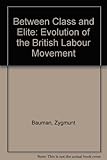 Between class and elite : the evolution of the British labour movement: a sociological study