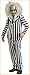 Beetlejuice Halloween Sensation Beetlejuice Adult Costume