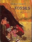 Exploring the World of Fossils