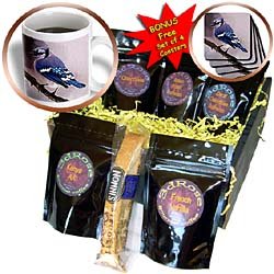 Birds - Blue Jay - Coffee Gift Baskets - Coffee Gift Basket by 3dRose LLC