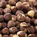 Gourmet Food : Fastachi Dry Roasted & Salted Hazelnuts